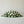Classic Casket Flowers | Eternal Roses