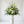 Chapel Arrangement | Classic