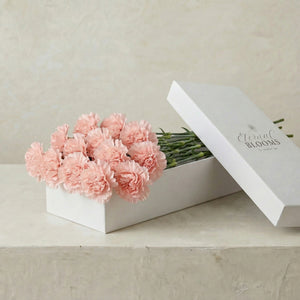 Single Stems of Carnations