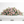 Blush Tribute Casket Flowers - Pink roses, lilies and snapdragons casket arrangement